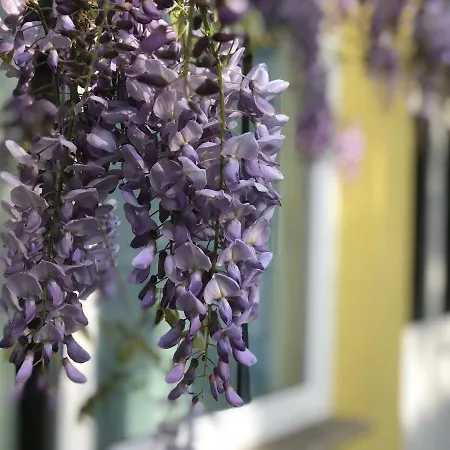 Loft Sottolalbero * Milán