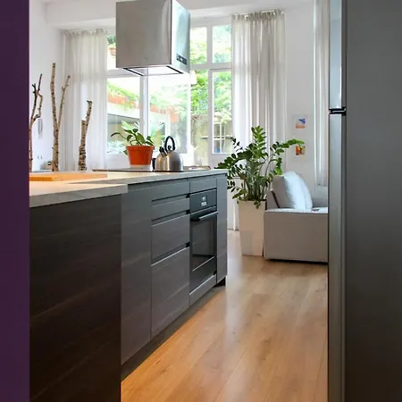 Apartment Loft Sottolalbero